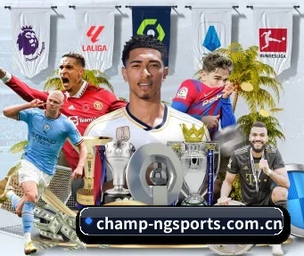 ng体育官网入口 APP - NGSPORTS
