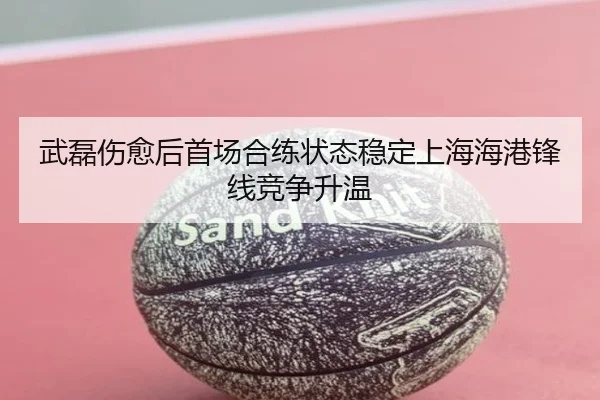 武磊伤愈后首场合练状态稳定上海海港锋线竞争升温 - NGSPORTS
