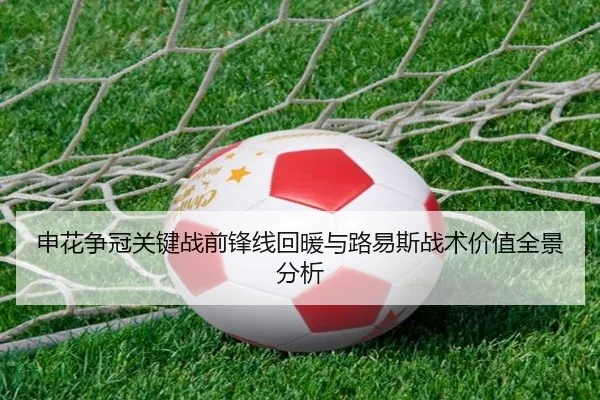 申花争冠关键战前锋线回暖与路易斯战术价值全景分析 - NGSPORTS
